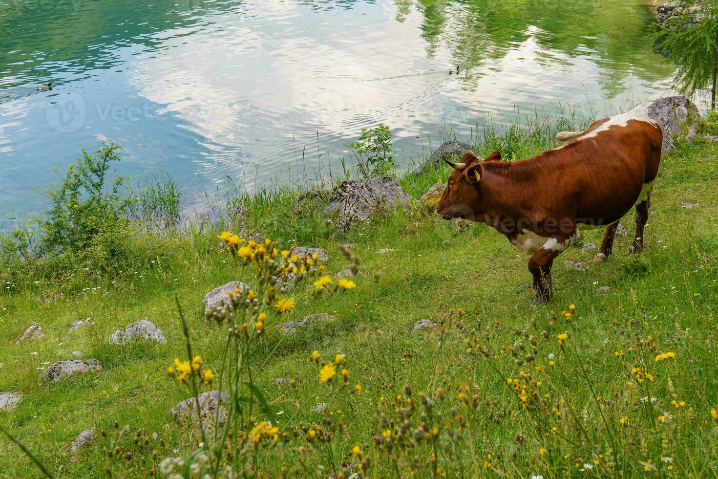 été temps dans beau L'Autriche photo