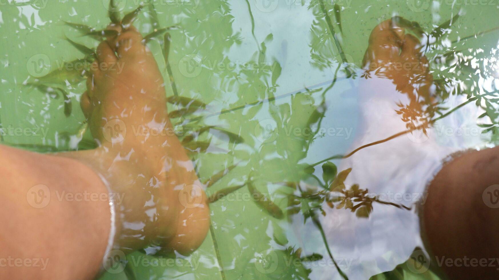 poisson spa pédicure bien-être peau se soucier traitement avec rifa garra poisson photo