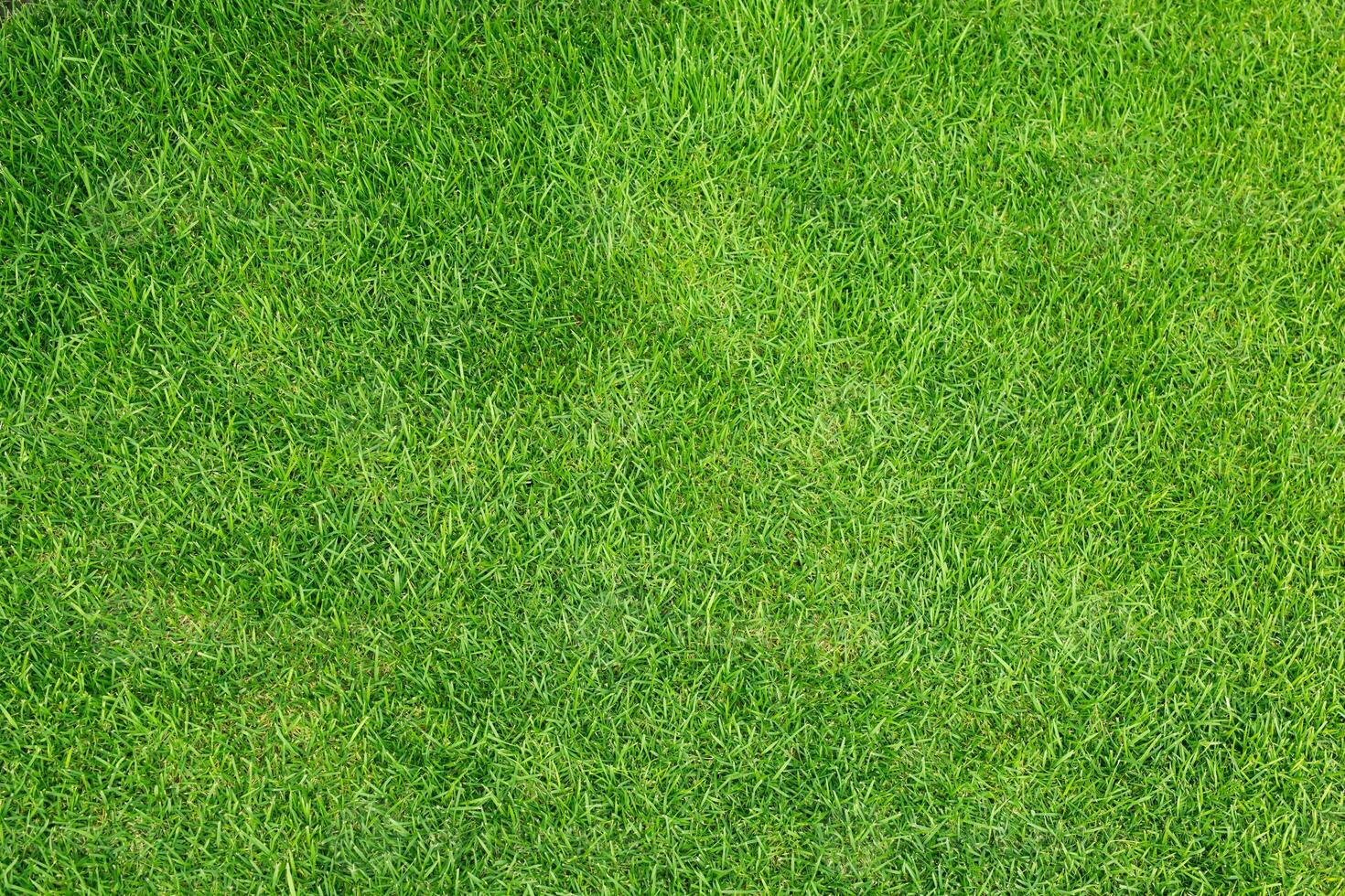 artificiel herbe champ Prairie vert. Haut vue texture. photo