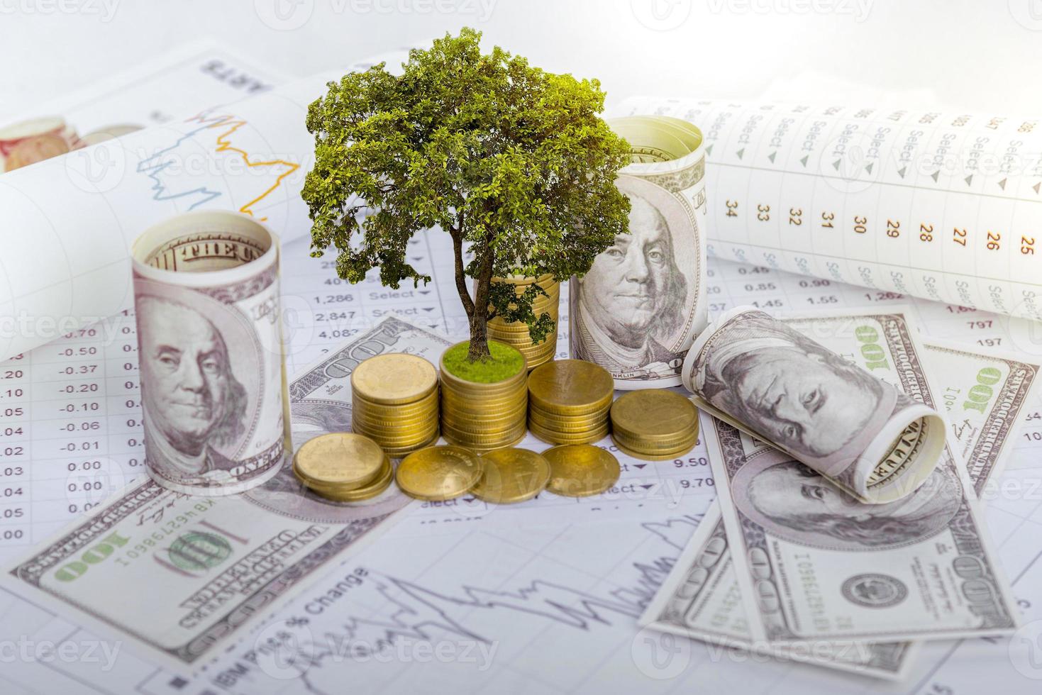 l'arbre grandit à la fois sur la progression de l'argent et des rapports financiers, ainsi que sur les comptes financiers, les affaires, les investissements sur la table de l'investisseur. concept d'investissement avant photo
