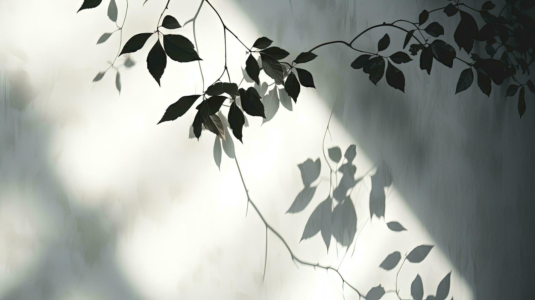 gris des murs avec indistinct feuille et vigne ombres. silhouette concept photo