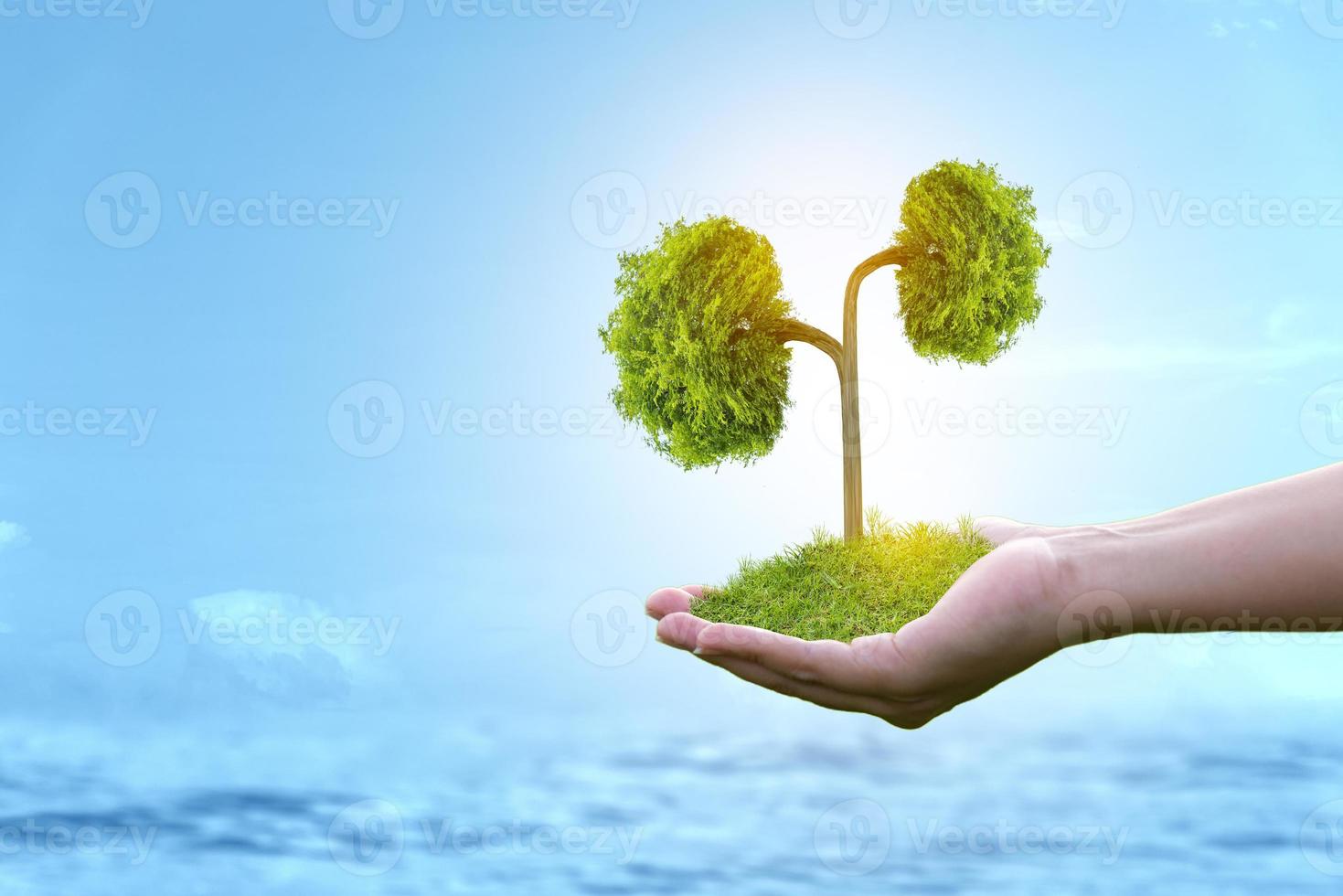 reins d'arbres, concepts environnementaux et médicaux 3d photo