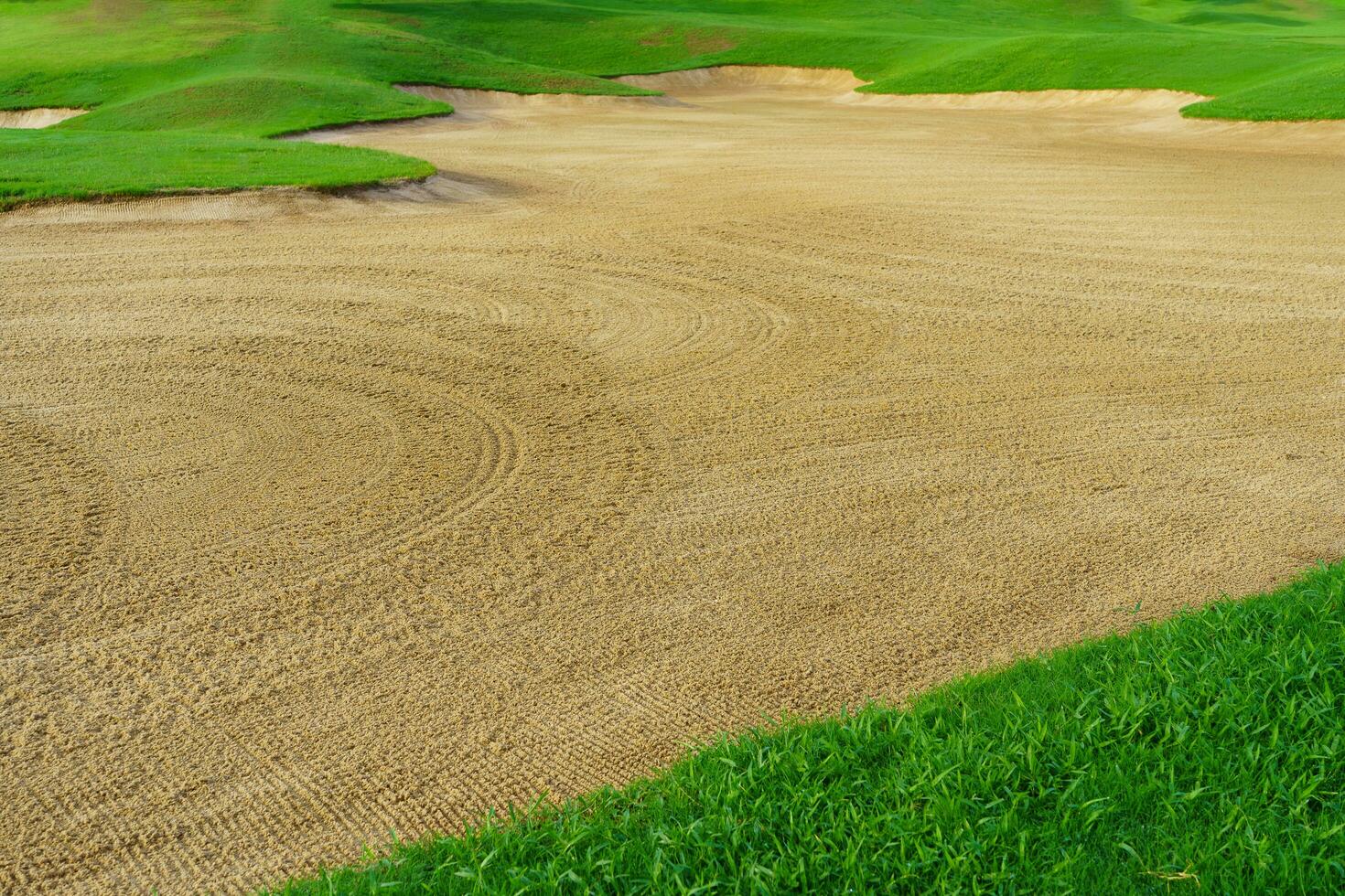 le golf cours le sable fosse soutes, vert herbe alentours le magnifique le sable des trous est un de le plus difficile obstacles pour golfeurs et ajoute à le beauté de le le golf cours. photo