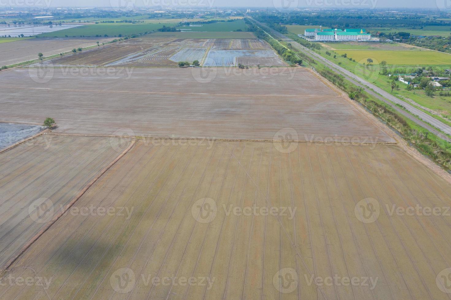 champ de riz avec paysage vert nature fond photo