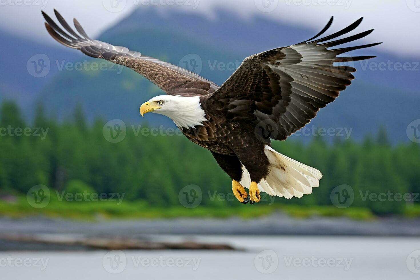 américain chauve Aigle dans vol. chauve Aigle haliaeetus leucocephalus dans vol. ai génératif photo