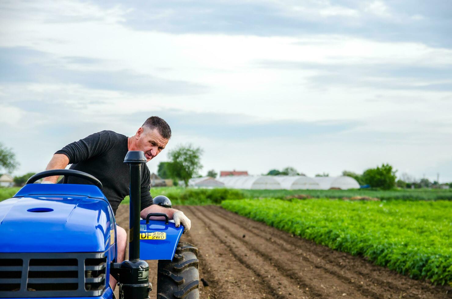 kerson oblast, Ukraine - mai 29, 2021 un personnes âgées agriculteur disques une tracteur sur une cultiver. fraisage sol, relâchement sol avant Coupe Lignes. préparation de terre pour futur plantation Nouveau culture. photo