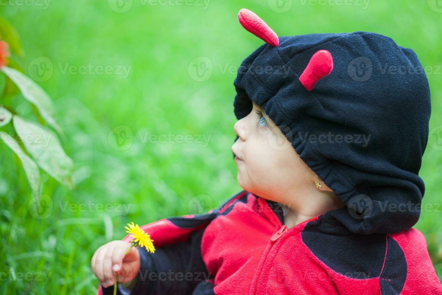 peu bébé fille portant une coccinelle costume. Halloween concept. photo