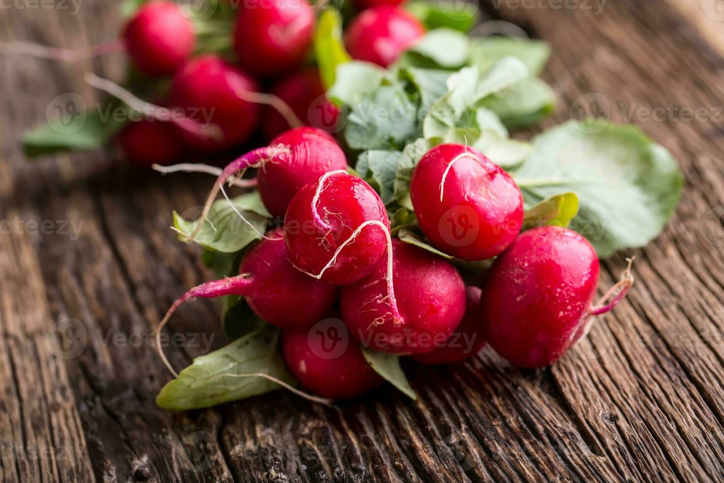 un radis. Frais un radis. rouge Frais un radis. Frais légume sur vieux chêne tableau. photo