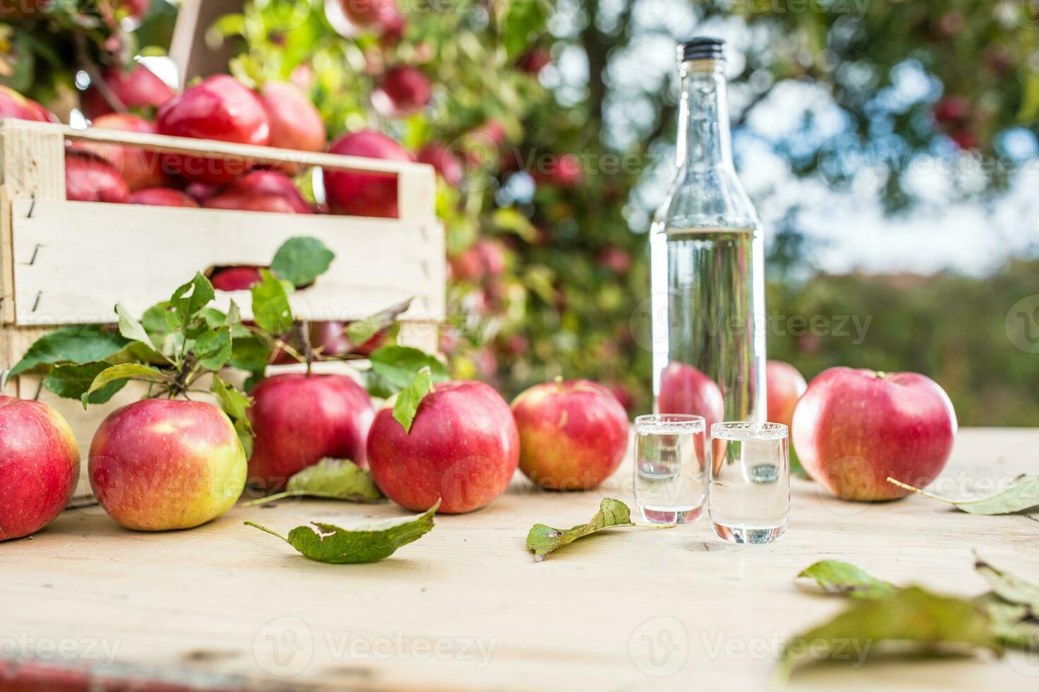 Pomme Cognac distillat avec pommes sur jardin tableau. photo