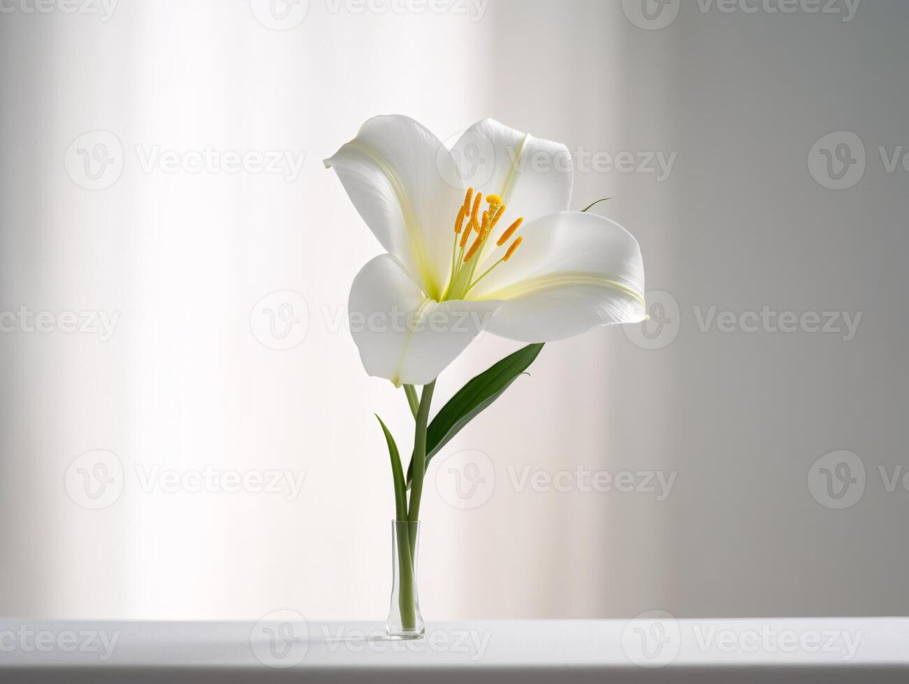 beauté dans contraste - une frappant blanc lis sur une doux blanc Contexte - ai généré photo