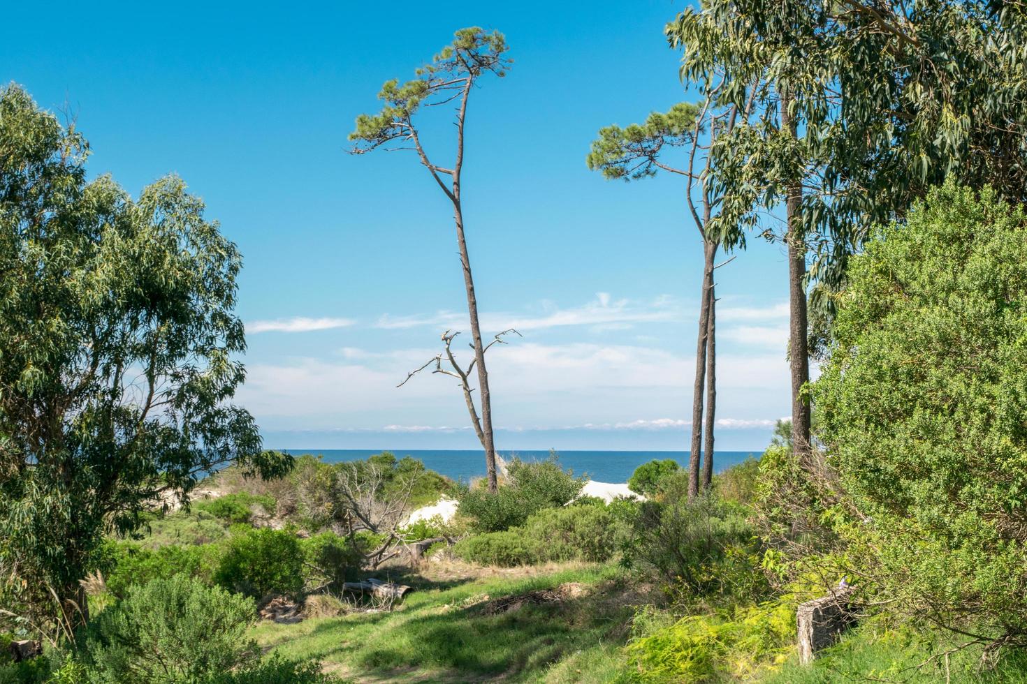 vue sur la plage uruguayenne photo