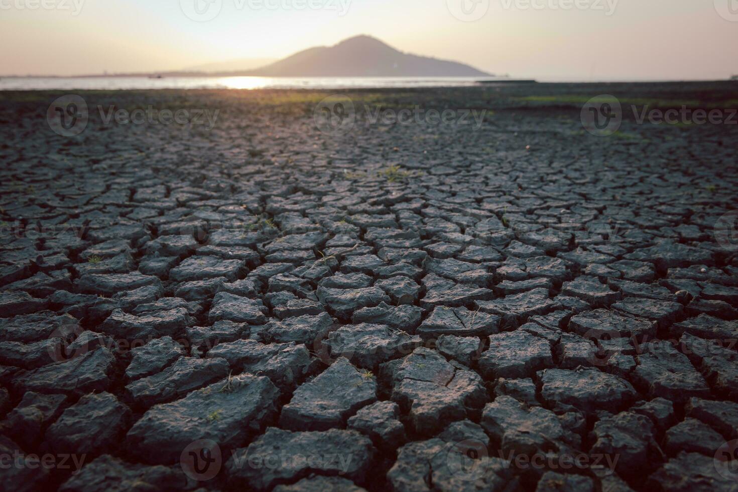 des fissures sur le surface de le Terre sont altéré par le rétrécissement de boue dû à sécheresse conditions de le terrain. photo