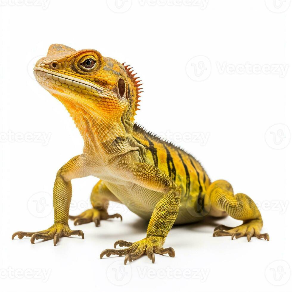 magnifique gros bête lézard à la recherche vers l'avant est montré dans plein longueur, ai généré photo