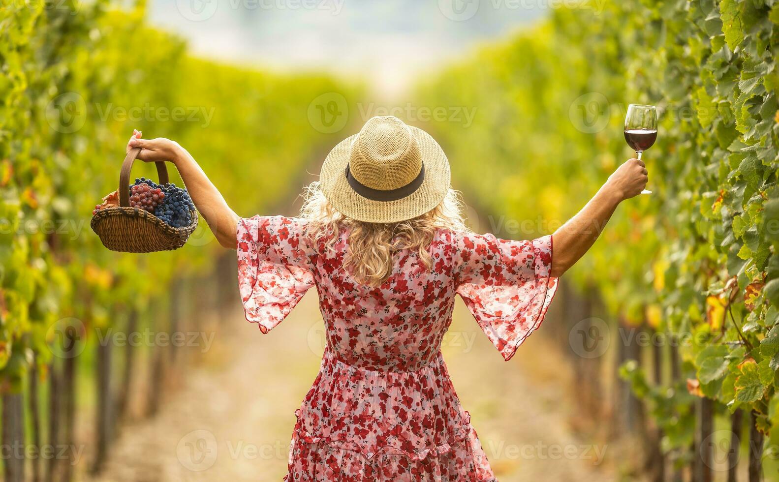 femme dans robe et paille chapeau a élevé mains et détient une verre de délicieux rouge du vin et une panier plein de les raisins. elle des promenades par une vignoble photo