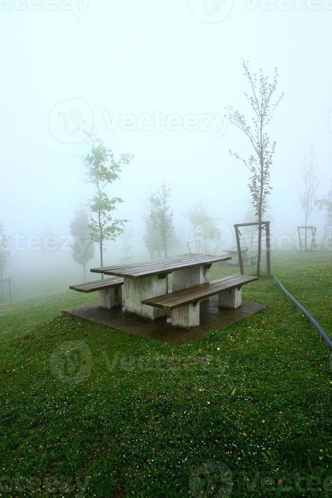 arbres dans la montagne au printemps photo