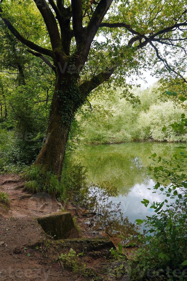 lac dans les montagnes à bilbao, espagne photo