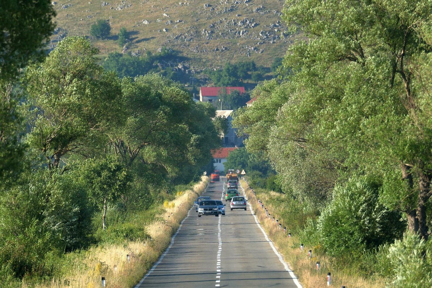 la photographie de voitures sur le route photo