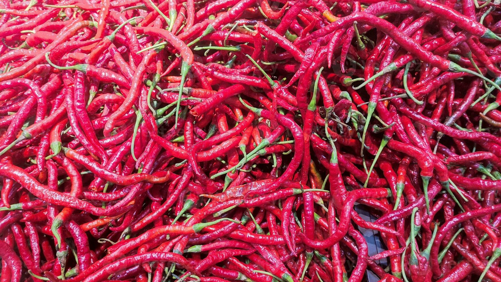 pile de piments sur marché photo