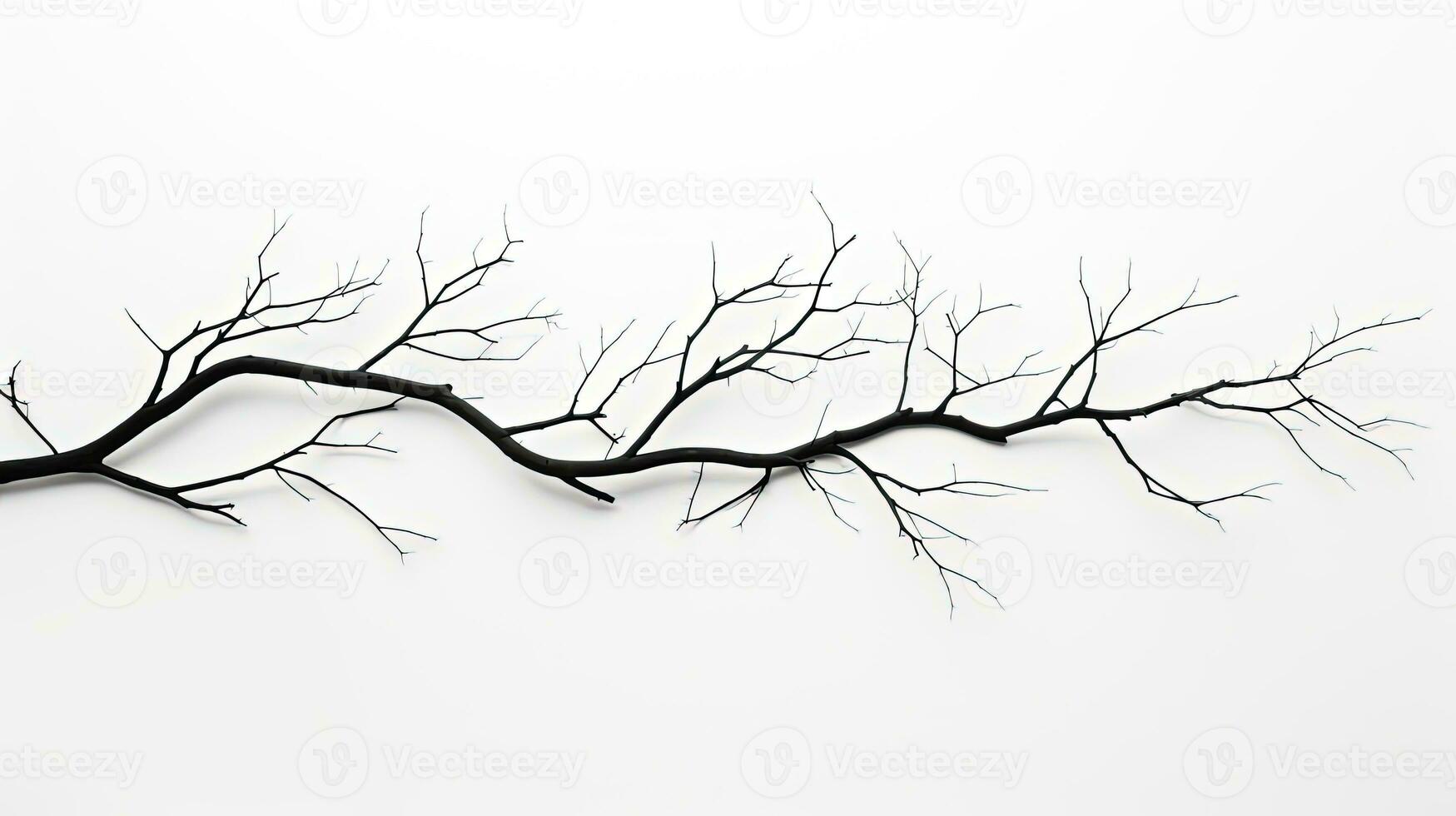 blanc Contexte isolé arbre branches. silhouette concept photo