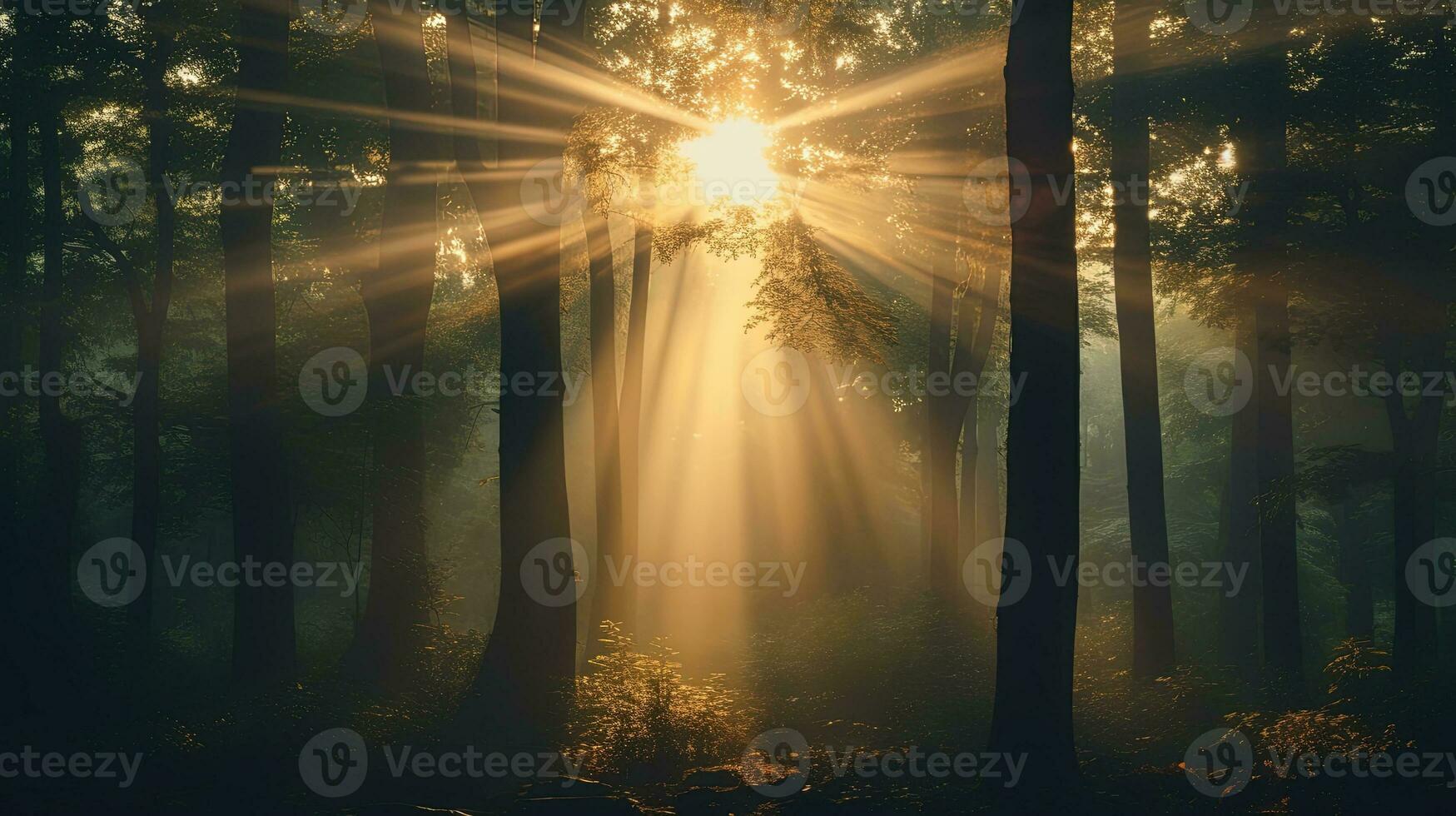 lumière du soleil filtration par le des arbres dans une forêt. silhouette concept photo