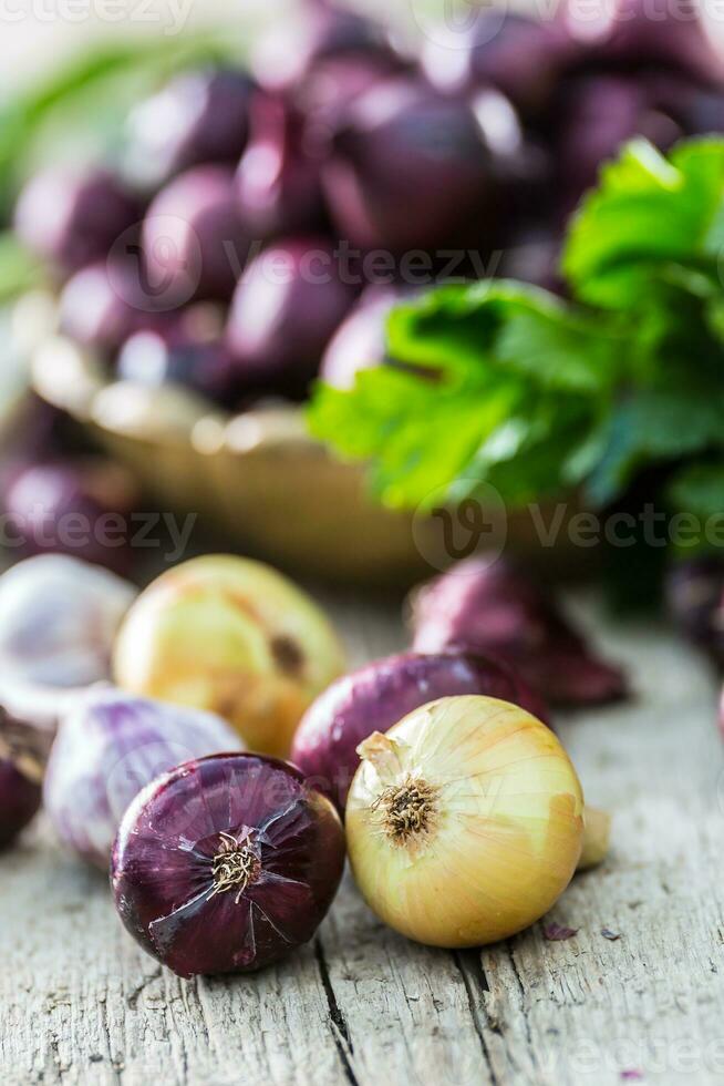 rouge oignon dans bronze bol Ail céleri herbes et chou-rave sur jardin table - Haut de voir. fermer Frais en bonne santé légume photo