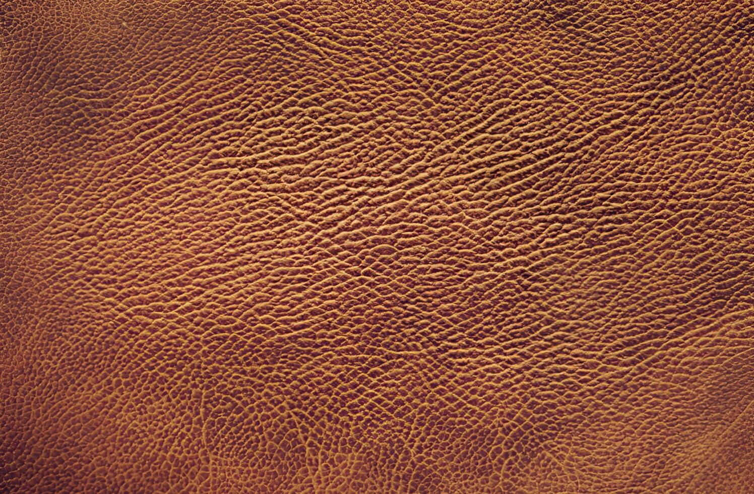fond de texture de cuir marron photo