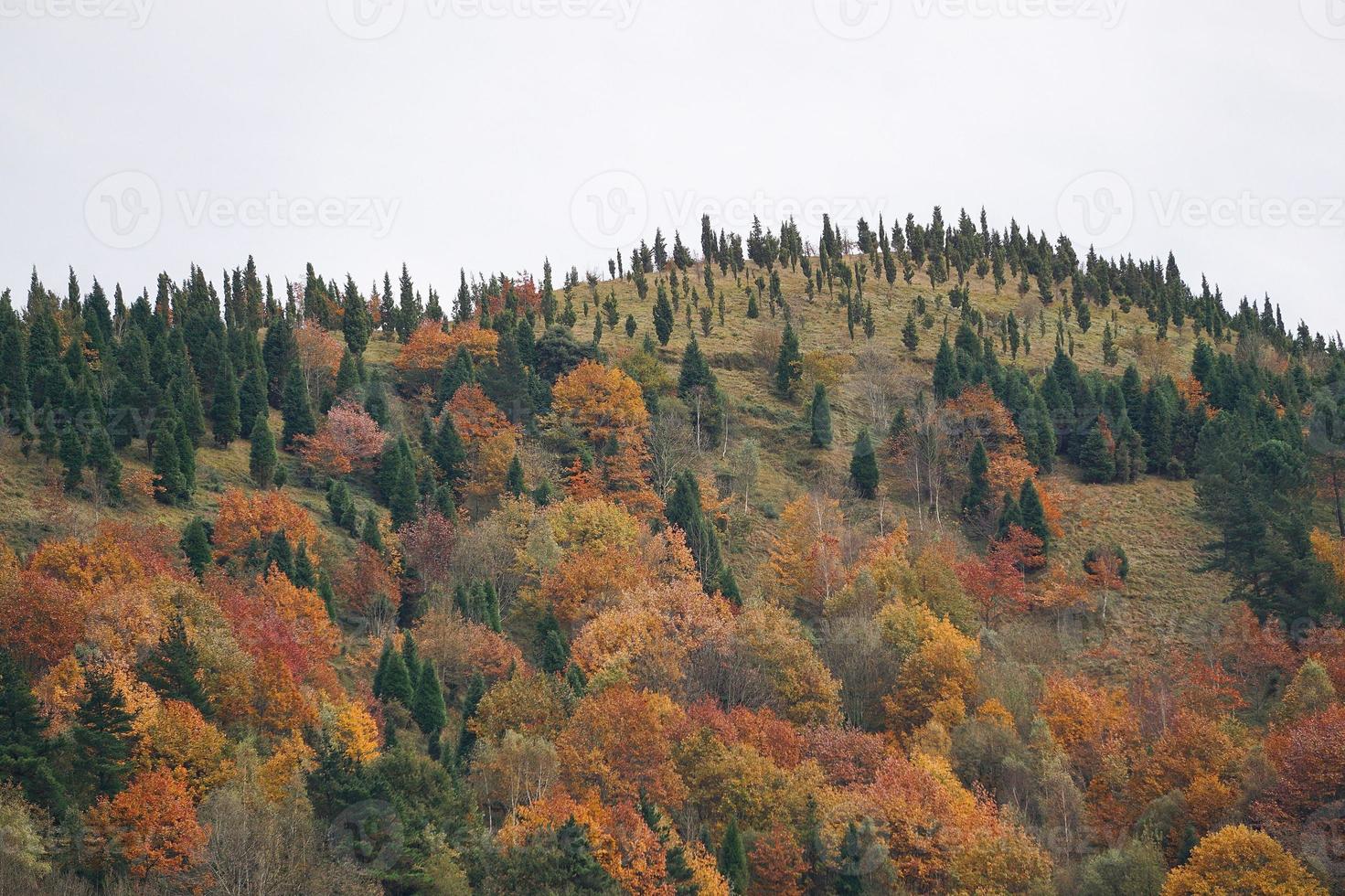 paysage de montagne à bilbao en espagne photo