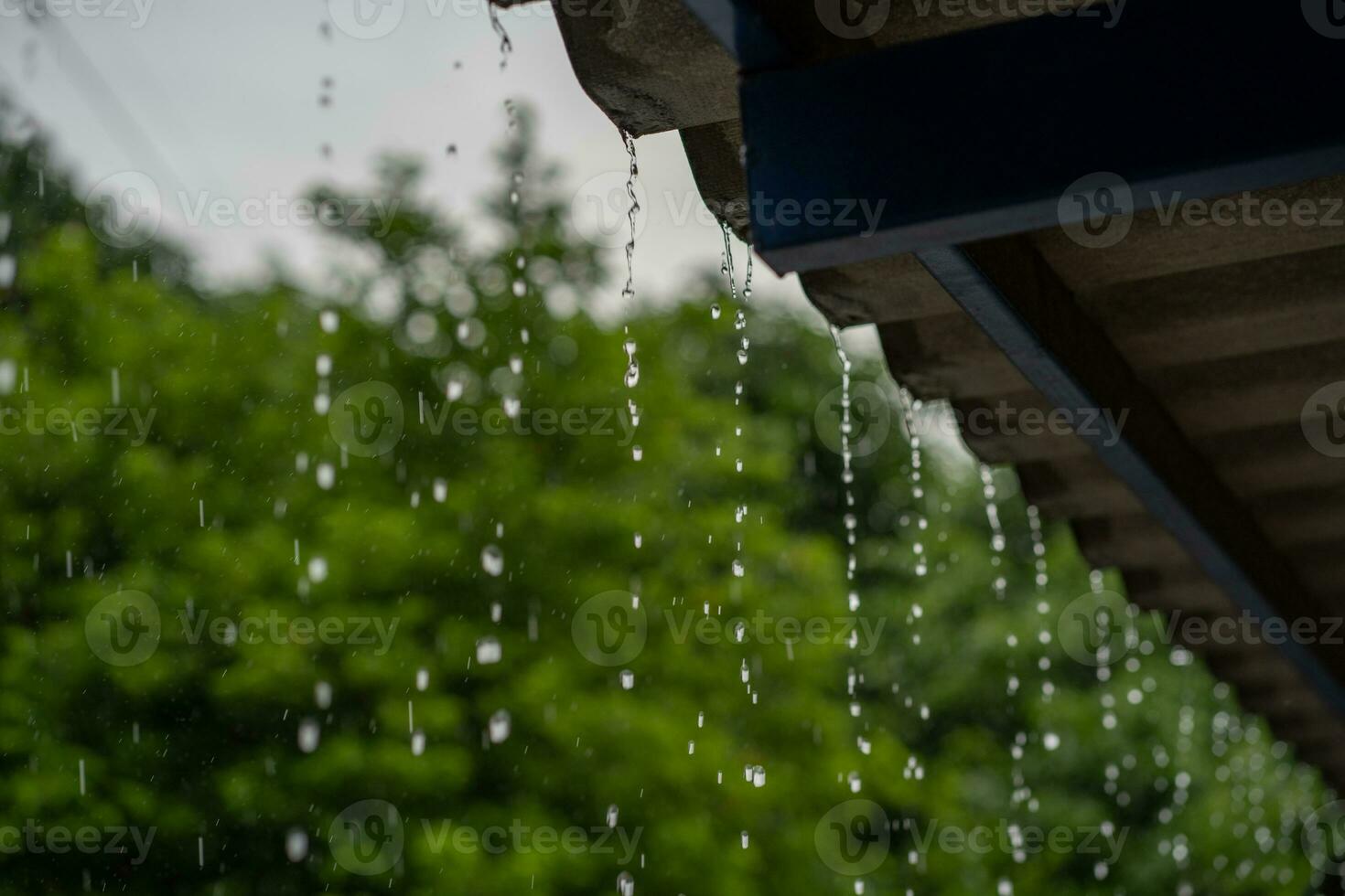 fermer de gouttes de pluie sur le toit dans le pluvieux saison. photo