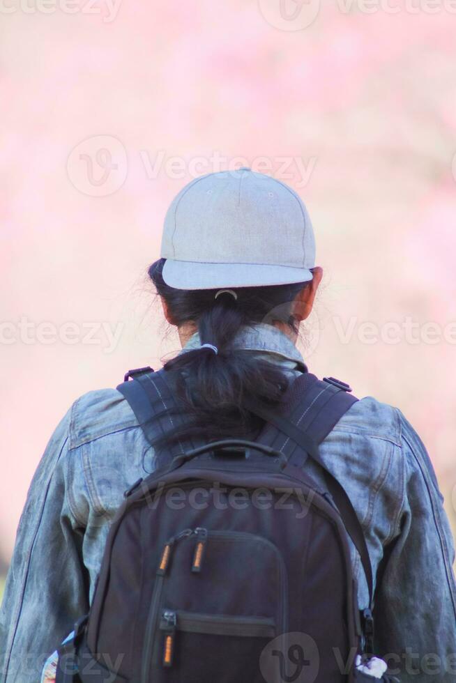 homme en marchant Cerise fleur chemin à voir magnifique paysage de rose Cerise fleurs le long de route béni dans l'hiver. homme Voyage périple le long de chemin de magnifique rose Cerise fleurs dans plein Floraison béni. photo