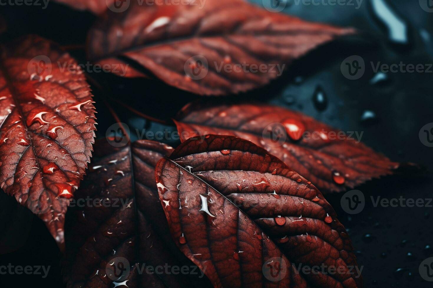 proche en haut de magnifique l'automne feuilles avec l'eau gouttes. Naturel Contexte ai généré photo