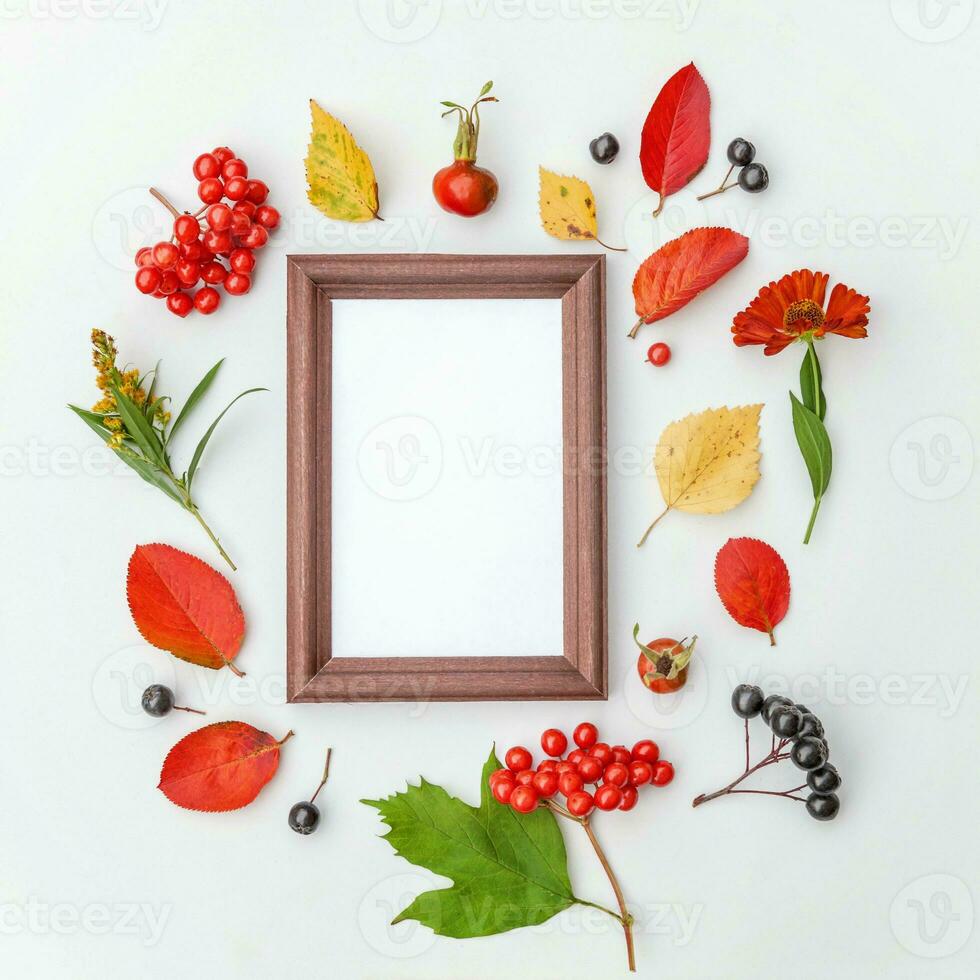 composition florale d'automne. maquette de cadre vertical chokeberry baies de rowan feuilles colorées fleurs d'églantier sur fond blanc. concept d'écologie des plantes naturelles d'automne. vue de dessus à plat, espace de copie photo