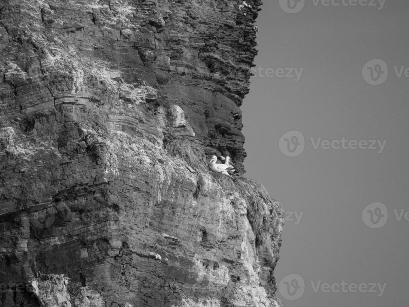 île de helgoland en allemagne photo