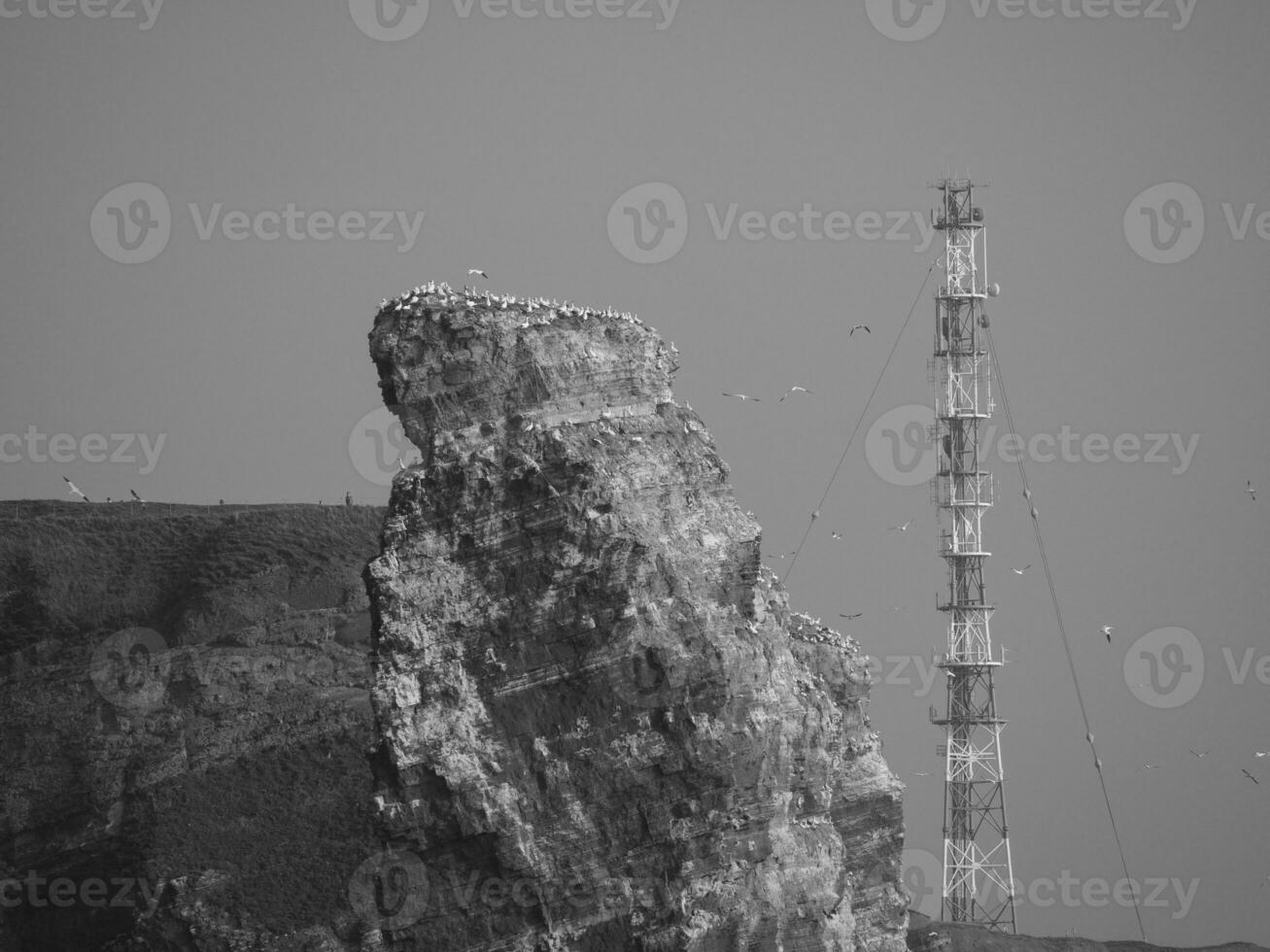 île de helgoland en allemagne photo