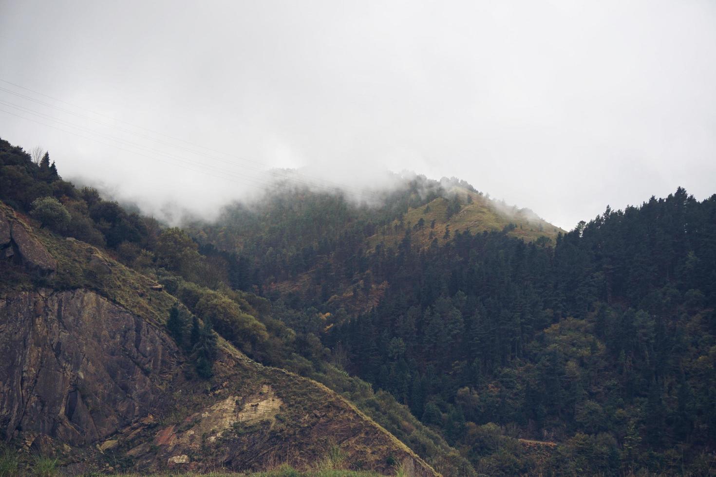 arbres dans le paysage naturel de montagne à bilbao en espagne photo