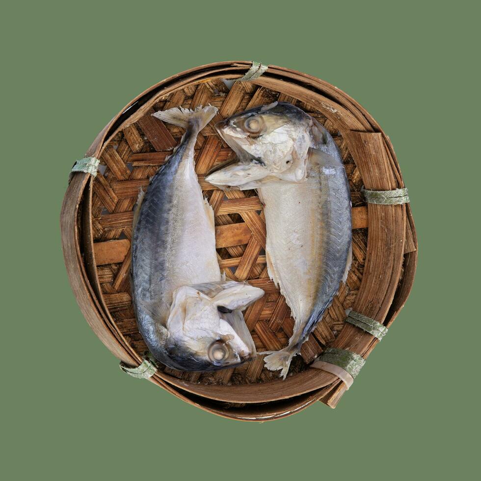 bouilli court maquereau populairement utilisé comme une ingrédient dans thaïlandais cuisine appel le thaïlandais Nom platou. apporter Frais poisson à ébullition dans eau salée et puis mettre dans le petit bambou panier pour vente. photo