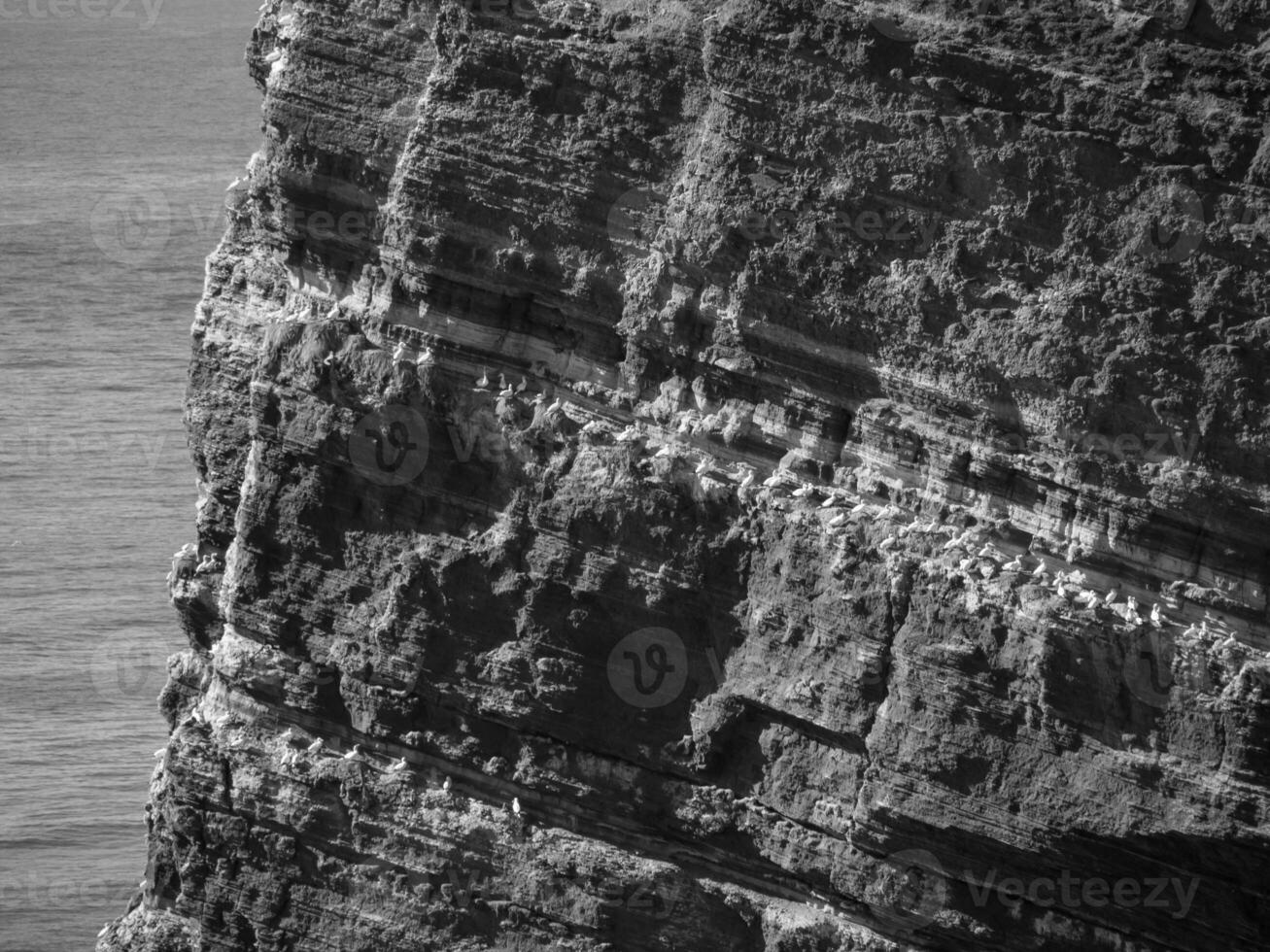 île de helgoland en allemagne photo