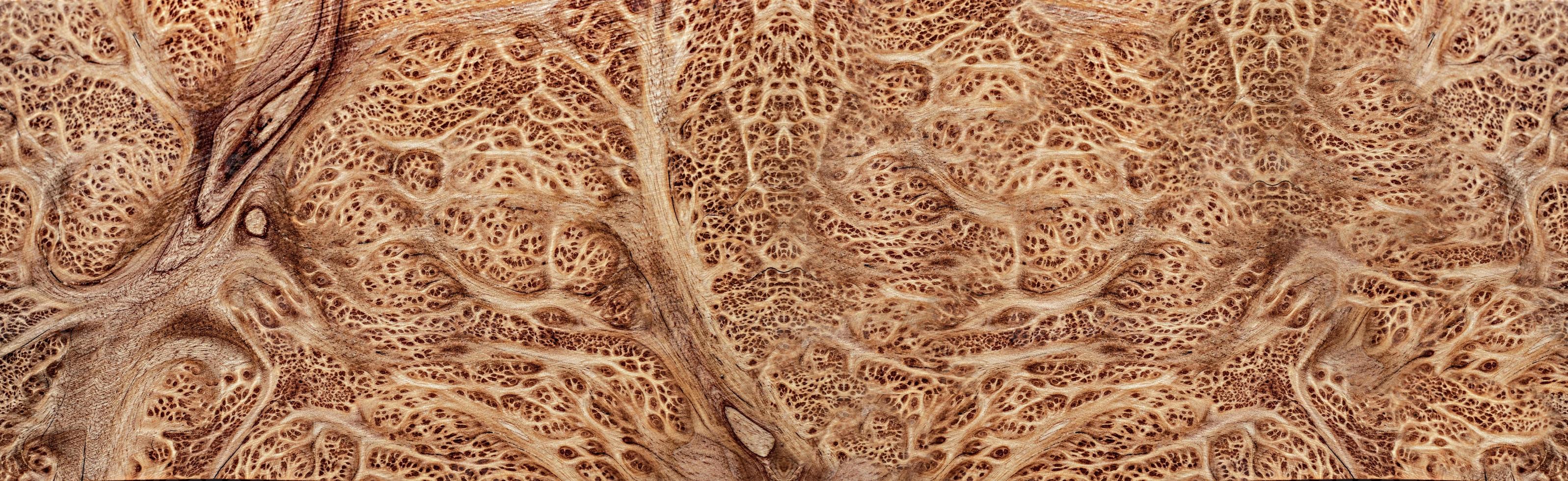 nature salao ronce de bois rayé en bois exotique belle photo