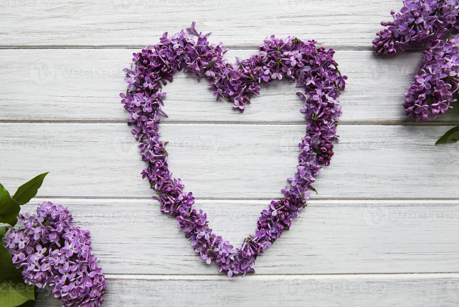 cadre de branches et de fleurs de lilas en forme de coeur photo