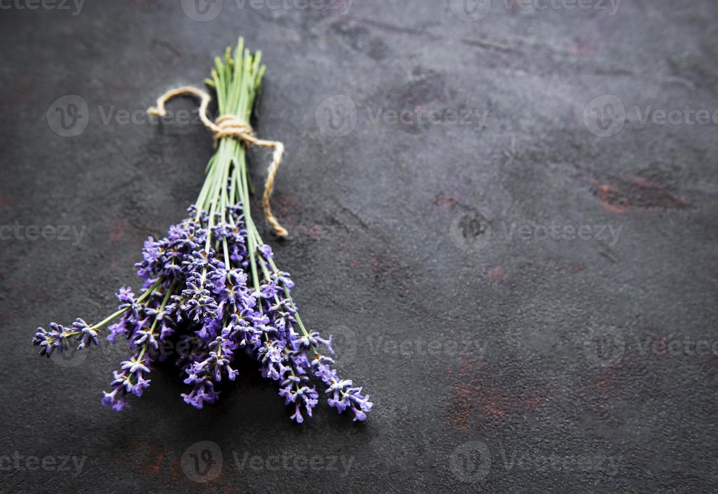 bouquet de lavande sur fond noir photo