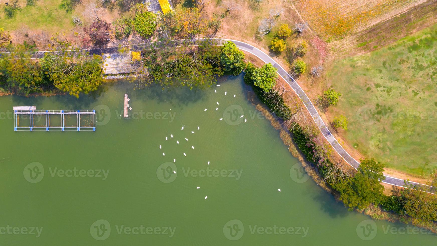 vue aérienne du parc photo