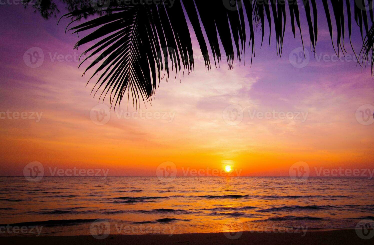 tropical mer le coucher du soleil arbre ciel vue Contexte photo