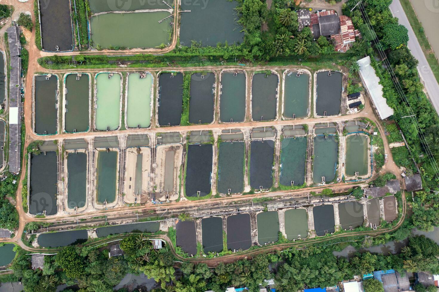 aquaculture affaires de crevette et poisson ferme et aérateur pompe dans creusé étang photo