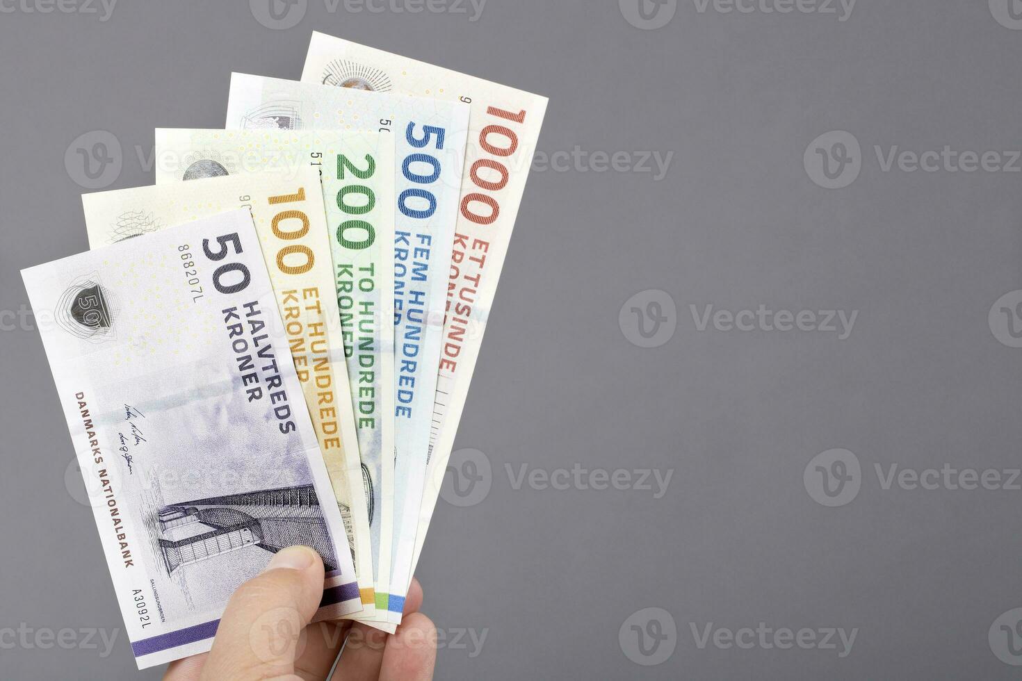 danois argent dans le main sur une gris Contexte photo