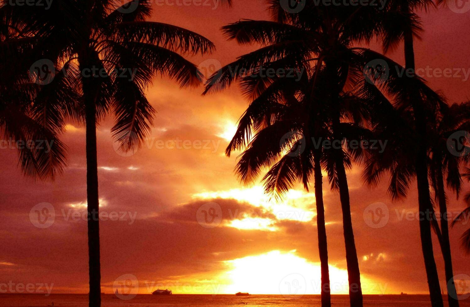 tropical mer le coucher du soleil arbre ciel vue Contexte photo