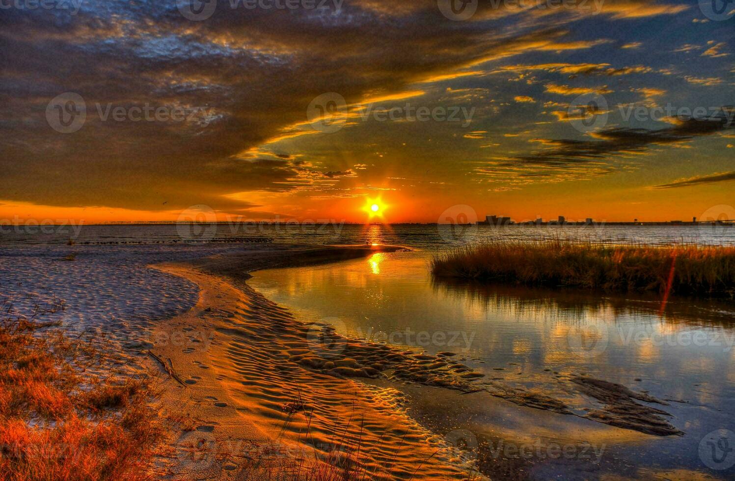 tropical mer le coucher du soleil arbre ciel vue Contexte photo