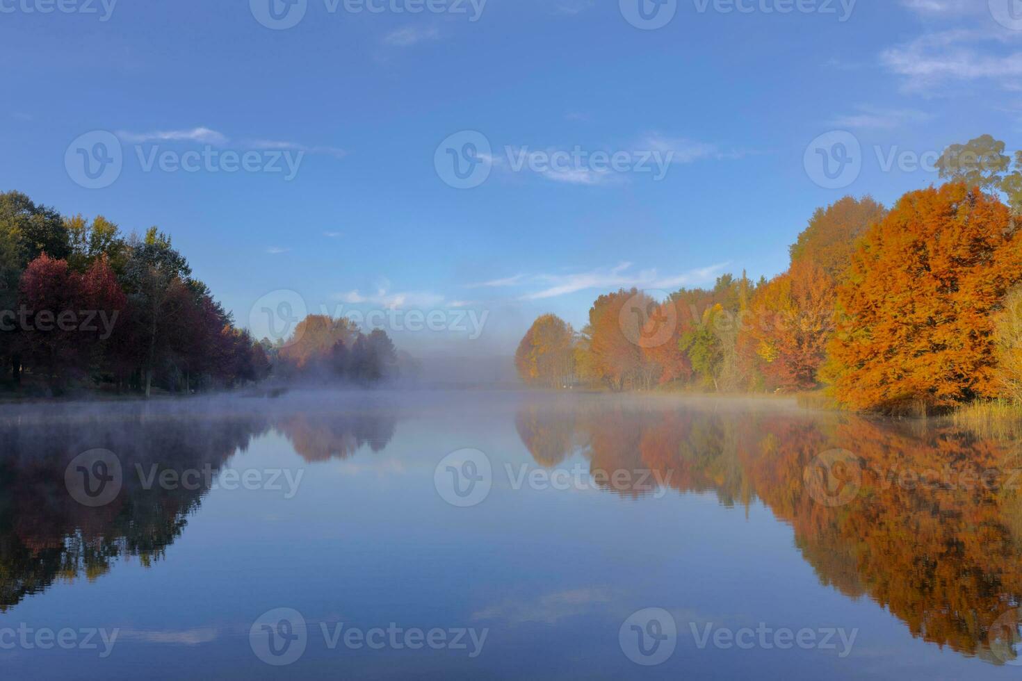 brouillard sur le l'eau et l'automne coloré des arbres photo