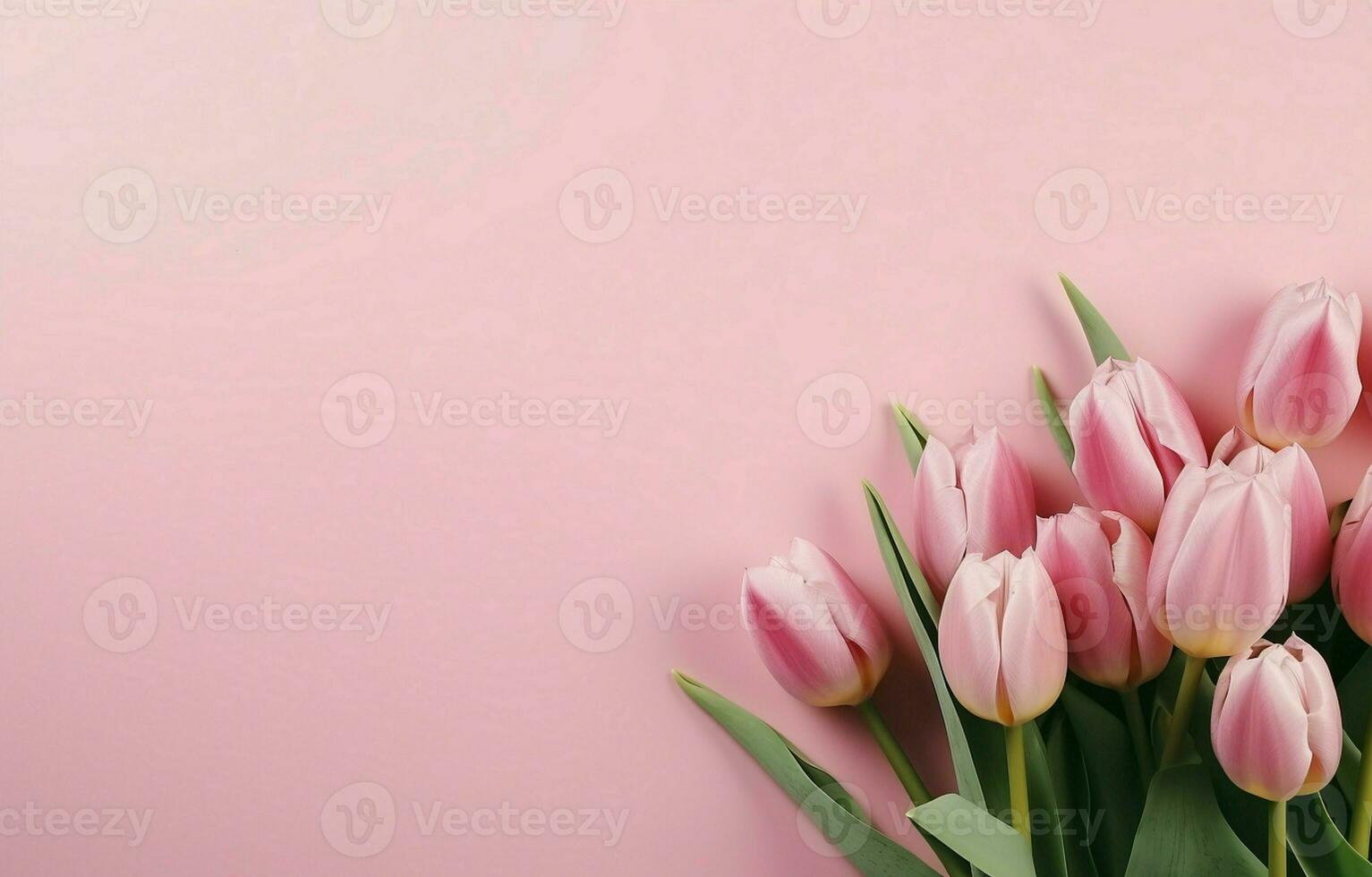 ouverture une magnifique bouquet de rose tulipe fleurs, laps de temps. mariage toile de fond, la Saint-Valentin journée concept. aimer, anniversaire conception toile de fond. avec une endroit pour texte ou image. photo