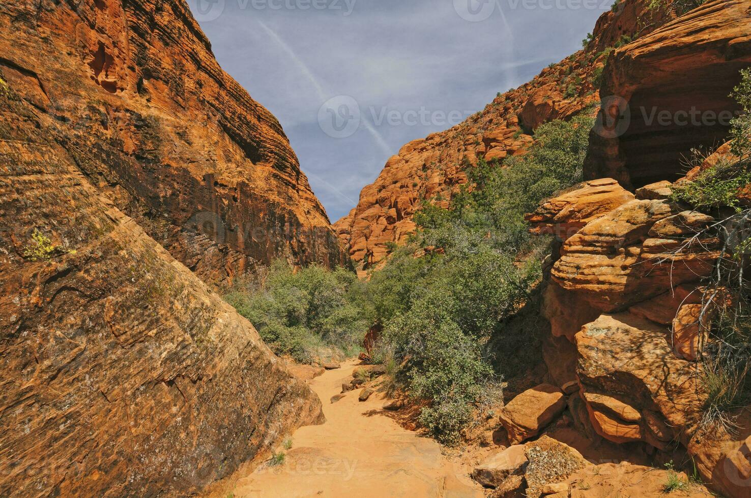 sentier dans un canyon désertique photo