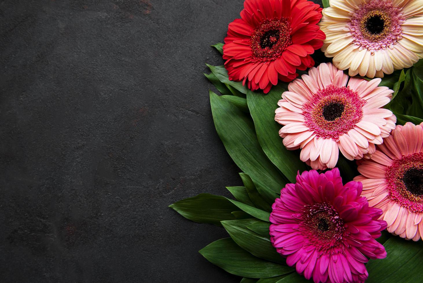 Fleurs de gerbera lumineuses sur fond noir photo