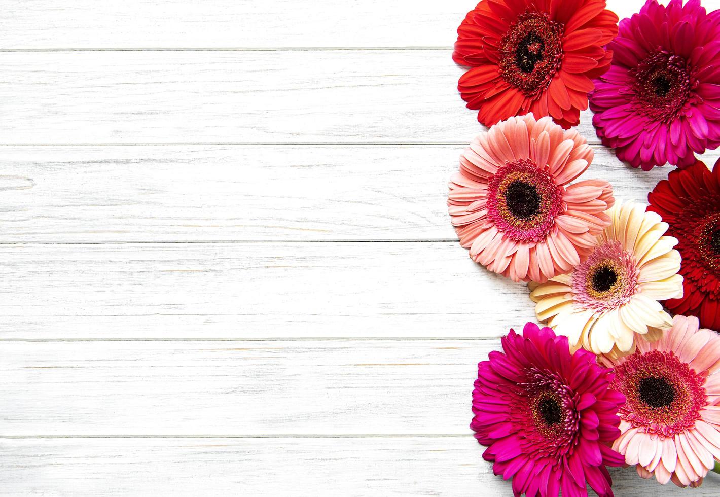 fleurs de gerbera lumineuses sur un fond en bois photo